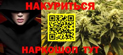 стаф Дубна