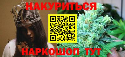 стаф Дубна
