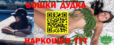 стаф Дубна