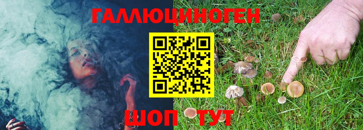 цены   Псилоцибиновые грибы Psilocybine cubensis  Вход с VPN  Назарово 